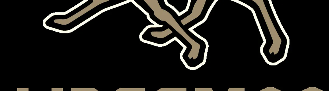 Campbell Fighting Camels Softball