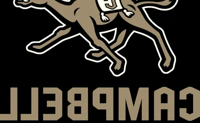 Campbell Fighting Camels Softball