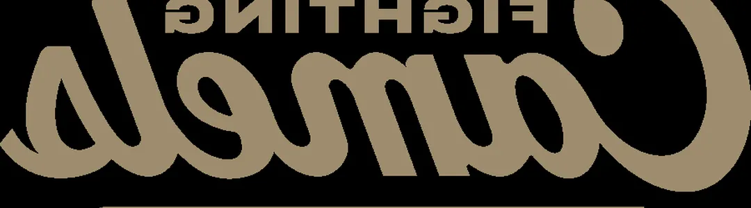 Campbell Fighting Camels Softball