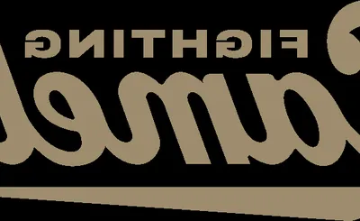 Campbell Fighting Camels Softball