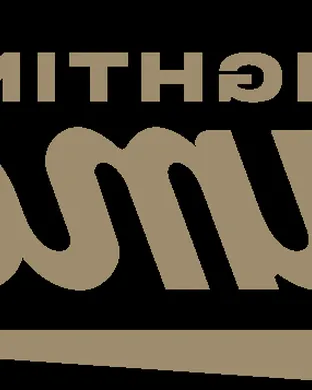 Campbell Fighting Camels Softball