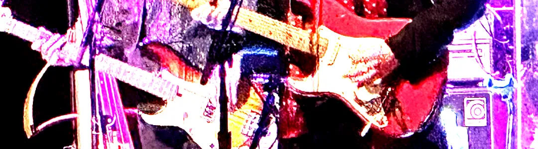 Elvis Costello and The Imposters