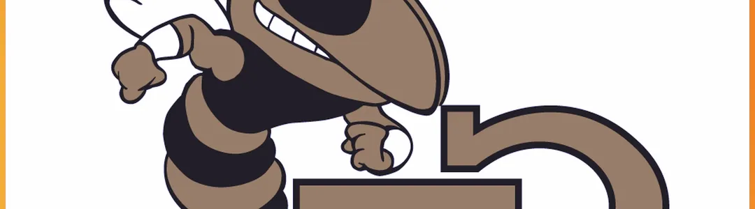 Georgia Tech Yellow Jackets Softball