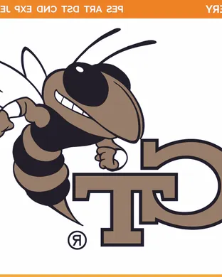 Georgia Tech Yellow Jackets Softball