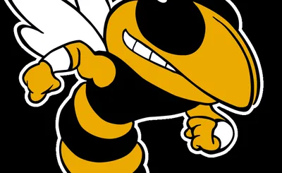 Georgia Tech Yellow Jackets
