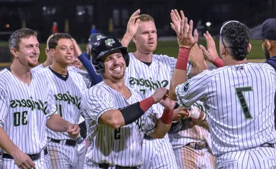 Gwinnett Stripers