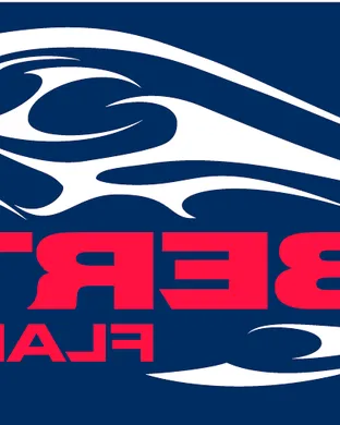 Duke Blue Devils Baseball