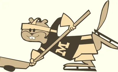 Minnesota Golden Gophers