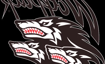 North Carolina State Wolfpack