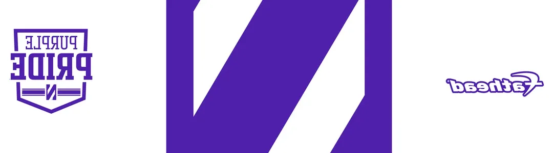 Northwestern Wildcats