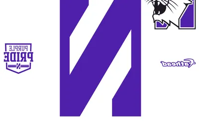 Northwestern Wildcats