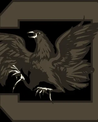 South Carolina Gamecocks vs. Duke Blue Devils