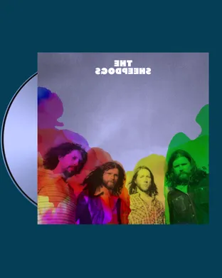 The Sheepdogs