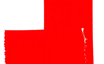 The TEAM: Reconstructing