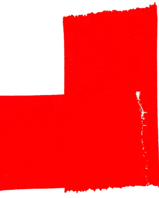 The TEAM: Reconstructing