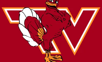 Virginia Tech Hokies