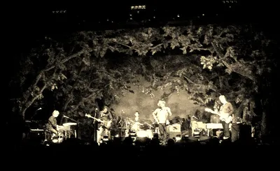 Wilco