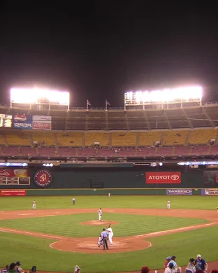 Wake Forest Demon Deacons Baseball