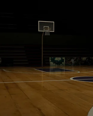 Clemson Tigers Women's Basketball