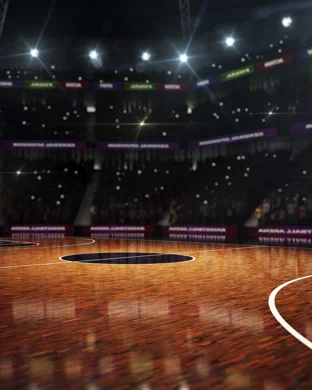 Clemson Tigers Basketball