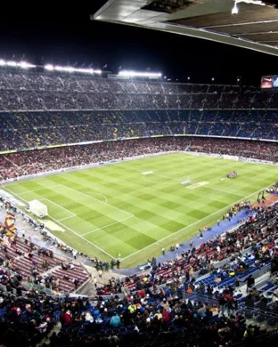 Livingstone Blue Bears