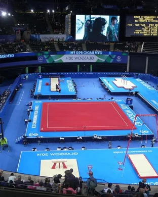 North Carolina Tar Heels Gymnastics