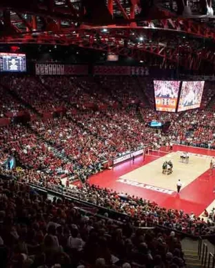 Pittsburgh Panthers Women's Volleyball vs. Duke Blue Devils